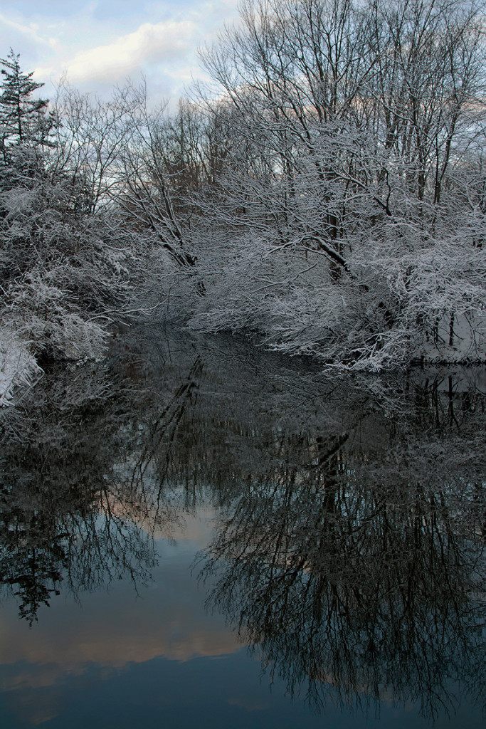 Melodie_Mar2016_1150River Perserve_web