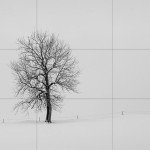 rule_thirds