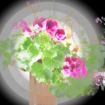 donhershberger_wwms1600w