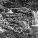 dgraber_jun022014_0040