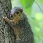 ekator_13403237_1213473931996214_5375307016779555456_o