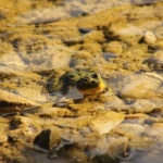 ekator_frankenmuth-michigan-09-4-5-2016-033
