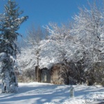 epalmer_pictures-143