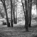 mgoodwin_souls-of-the-forest