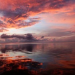 morgan_shortdscn5168-2