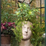 mrodgers_img_00922016head2