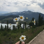 Adam Delks_CO – Flowers 2