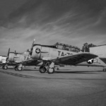 Joe Tinervia – BnW – Spread them Wings