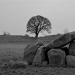 alma_boyle_Nikon DSC_5964 (2)