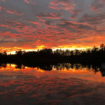 braydon_harshberger_1