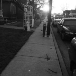 chase_brownStroll B&W