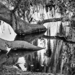 krhodes_Fla_pond_MG_4372