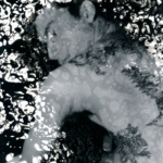 Jillian Baker- #2 The Skin Beneath_web