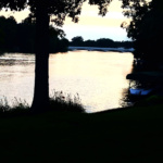 Will Halt #1- All Along the River Bed_web