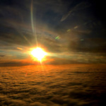 Will Halt #3- Glare_web