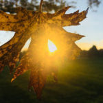 montimor_IMG_2125-1_web