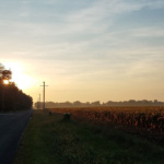 rodriguez_20180904_074106_web