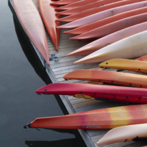 gshaffer_A6500_0743 gshaffer_A6500_0743