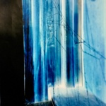 stout_Blue spiderweb