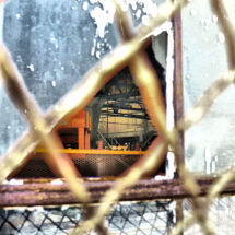 warrell_Through the Broken Window_web warrell_Through the Broken Window_web