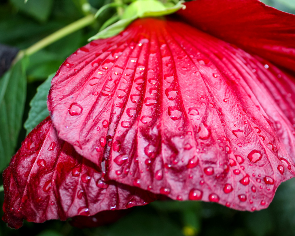 Special Merit Color-Kaylee McQueen-After the Rain