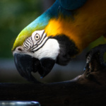 Special Merit Color-Nathaniel Labhart-Into the Light