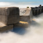 51449994490_66757c8b97_o