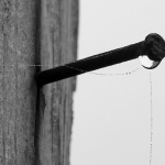 DSC09515-DeNoiseAI-low-light-gigapixel-art-scale-3_00x