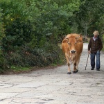 PS DSC06785-topaz-denoise-faceai-sharpen-topaz-denoise-faceai
