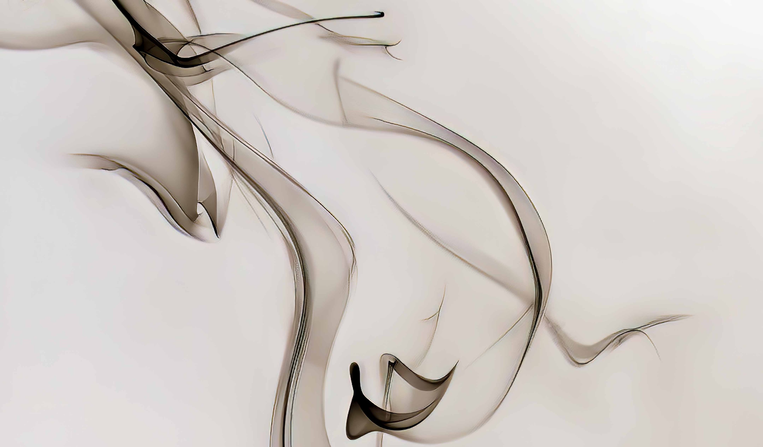 Photo of the Month – September 2025