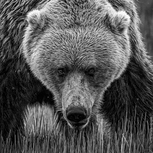 Photo of the Month – October 2025