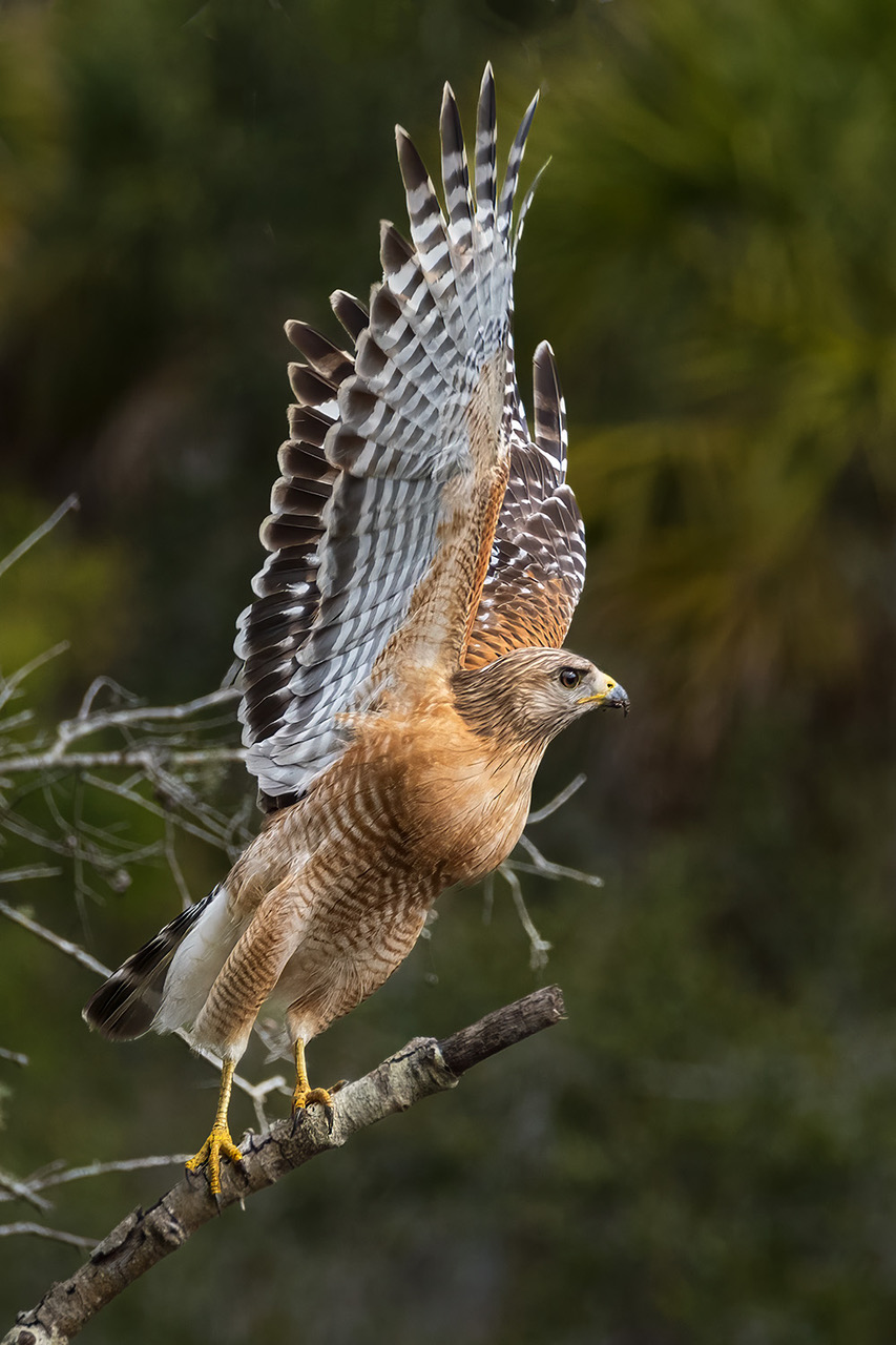 Photo of the Month – March 2026