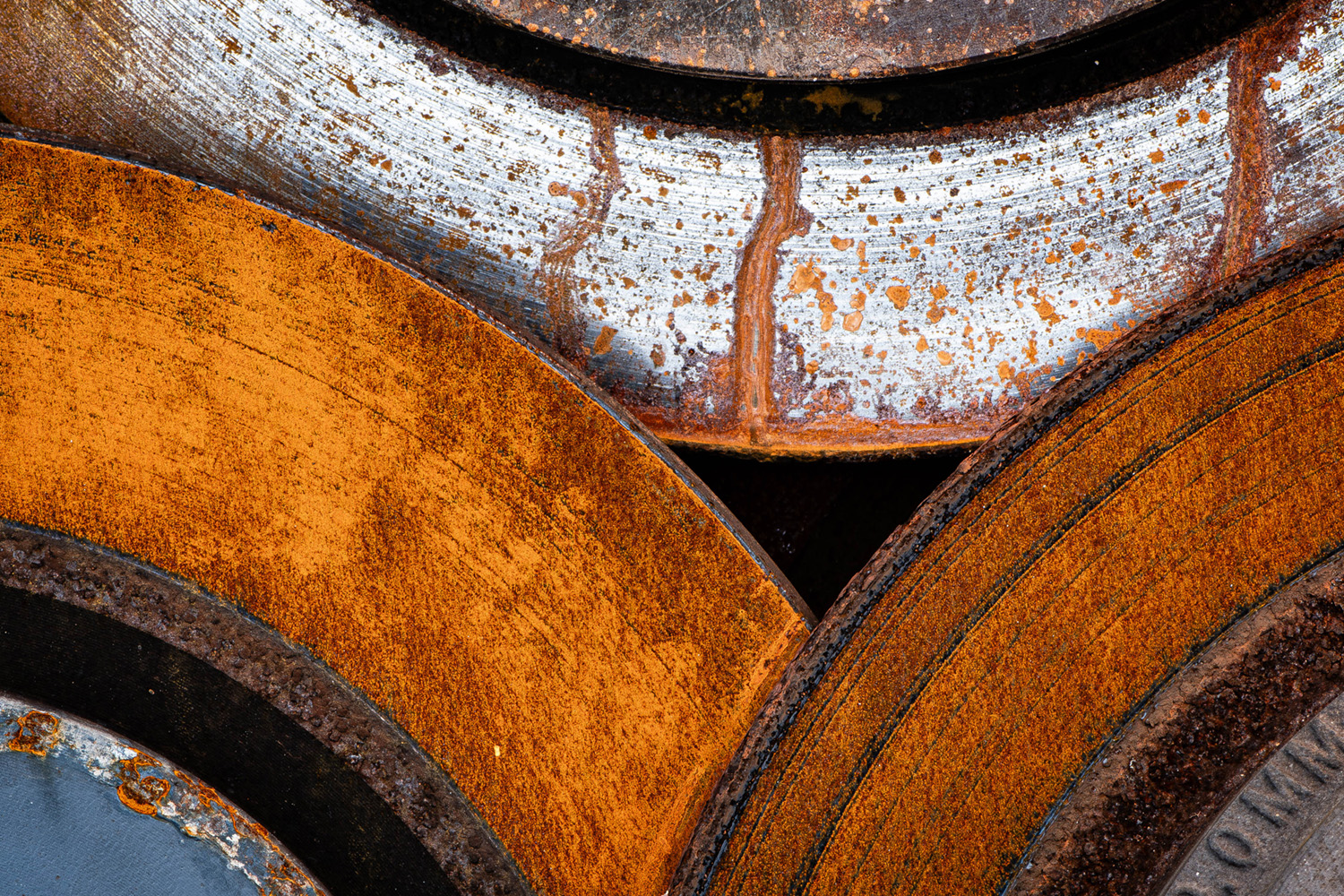 Photo of the Month – April 2026