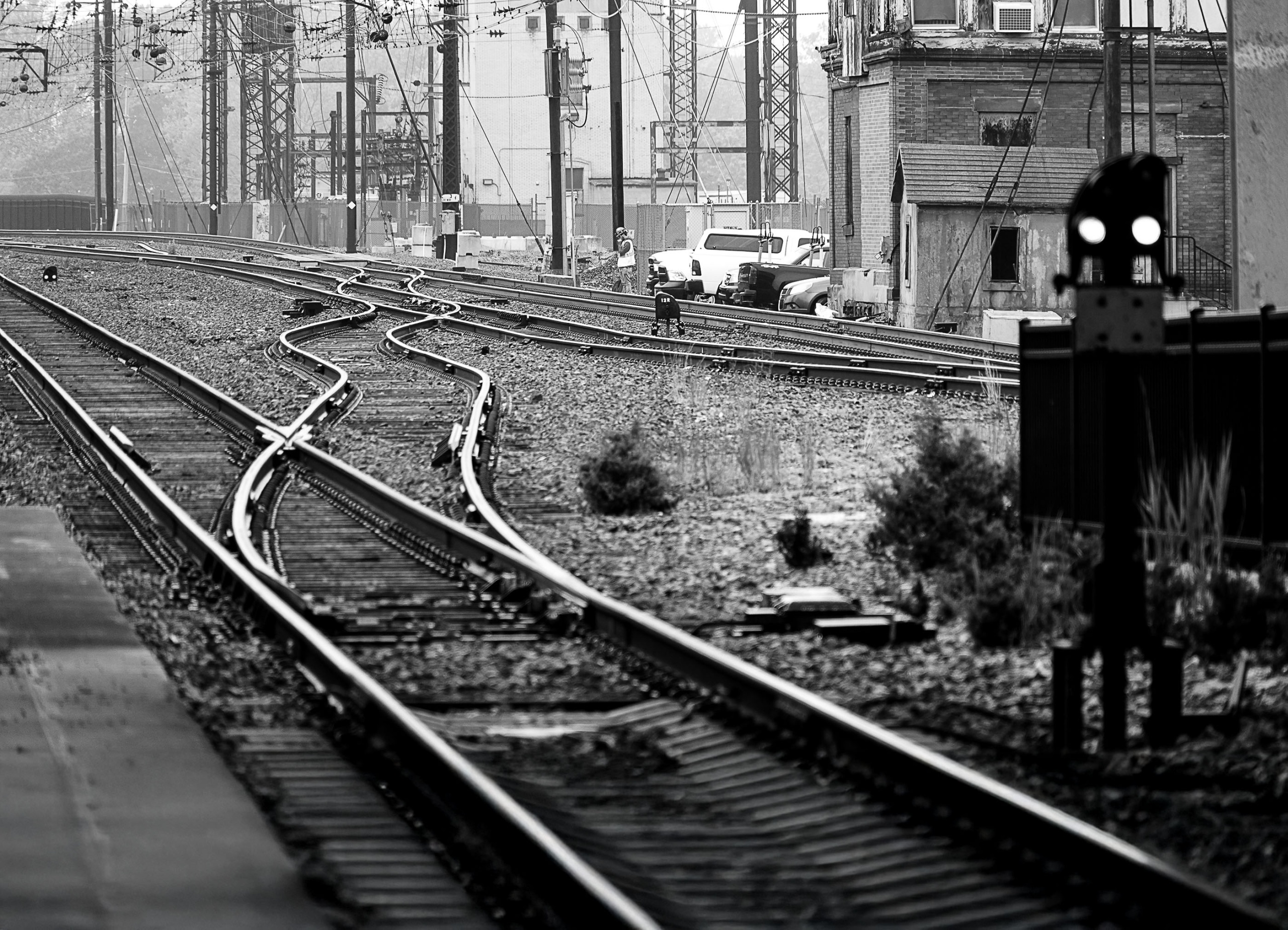 Photo of the Month – May 2025