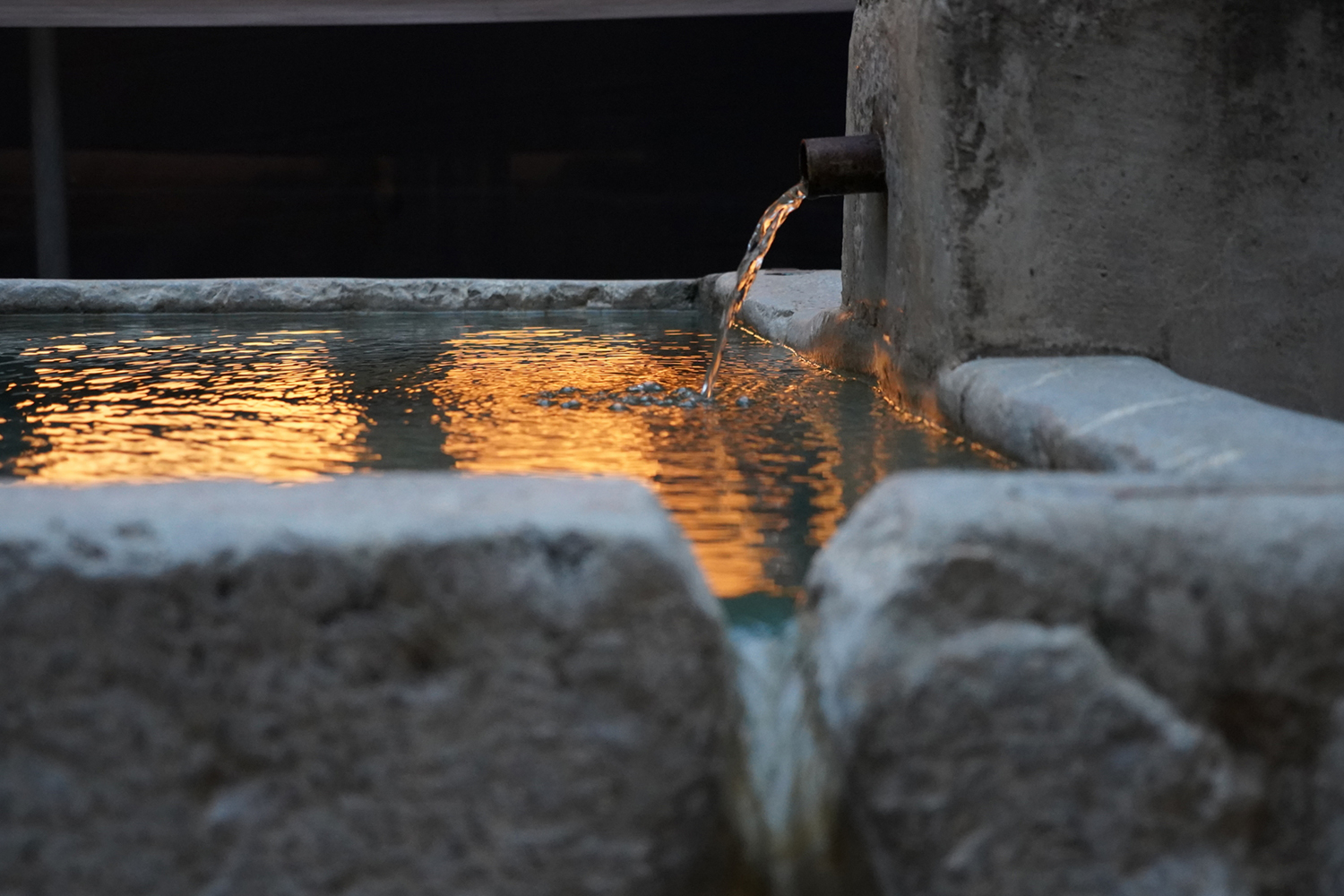 Photo of the Month – February 2026 Co-Winner