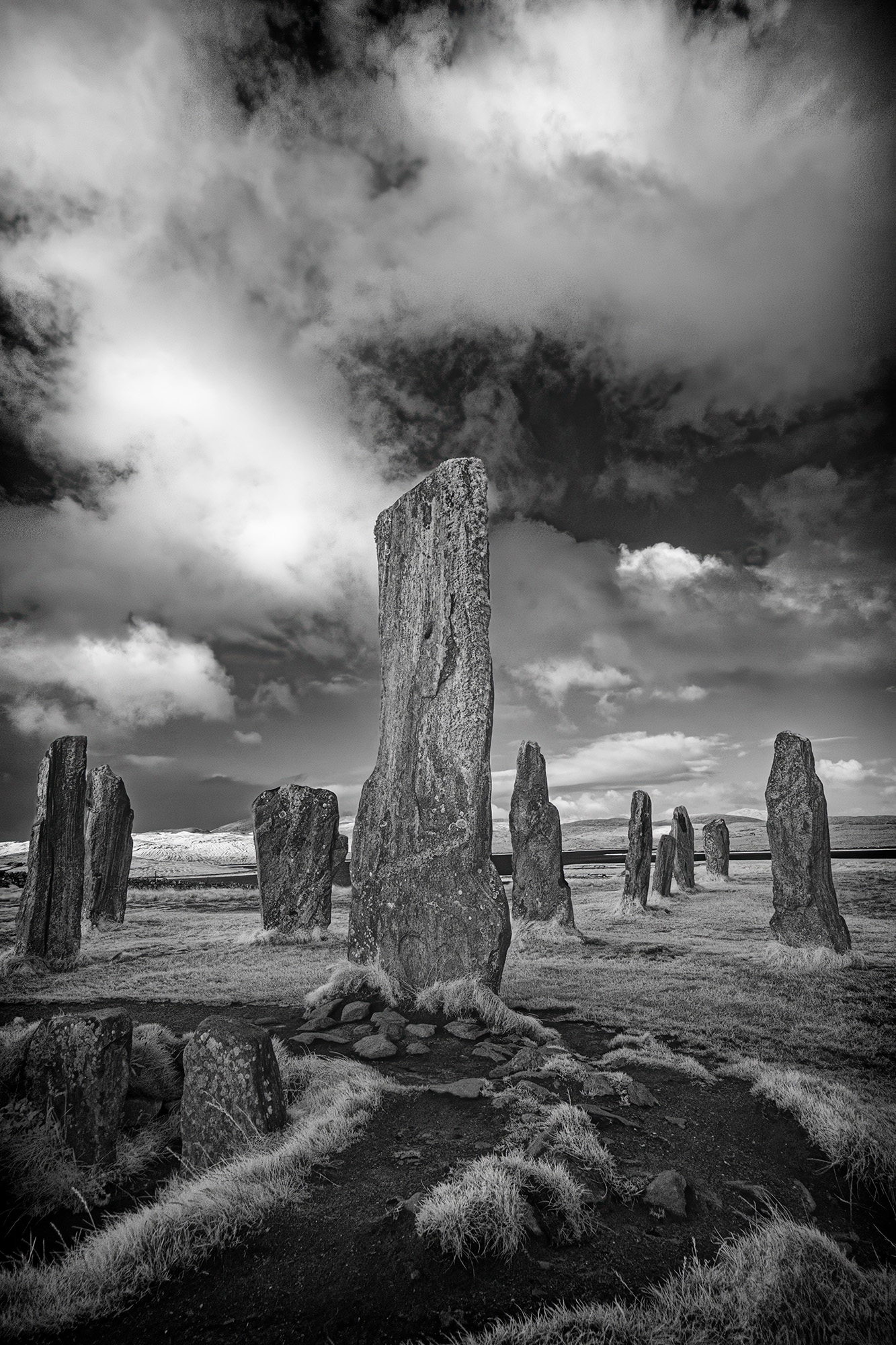 Photo of the Month – October 2026