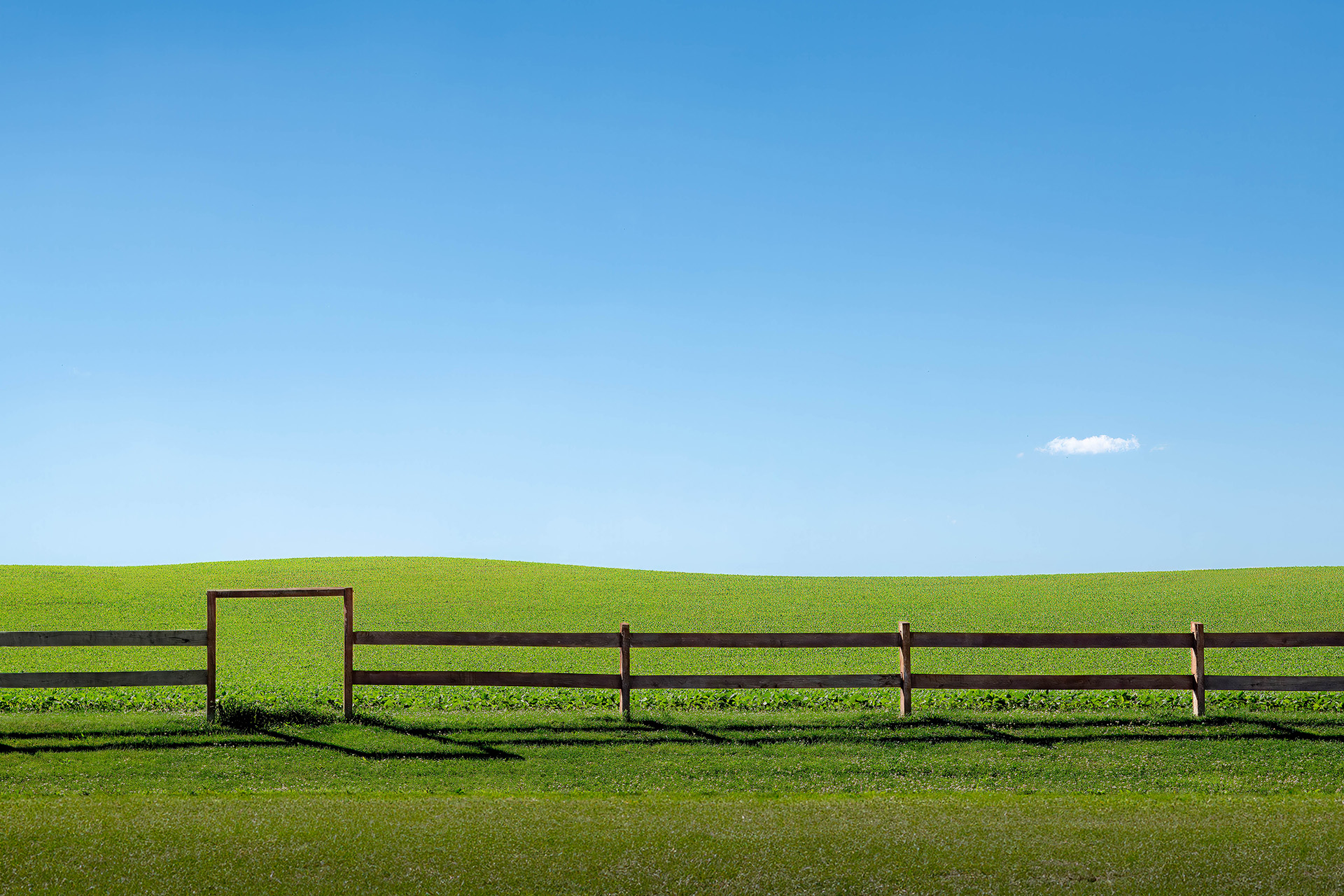 Photo of the Month – September 2026